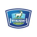 vitaligoat