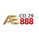ae88829