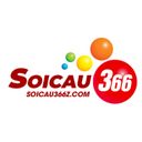 soicau366z