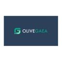 SEO OG