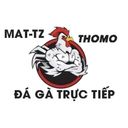 dagatructiepmat