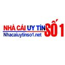 nhacaiuytinso1n