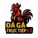 Da Ga Truc Tiep C3