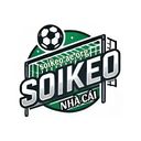 soikeoaeorg