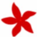 Ixoraglobal