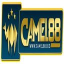 camel88biz