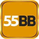 55bbbike