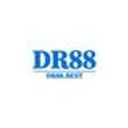 dr88best