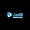 jun88v8pro1