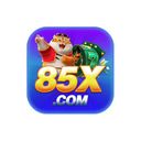 85xviporg
