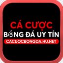 Cá cược bóng đá 1