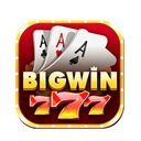 bigwin777_shop