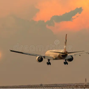 Flighta98