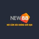 new8838net