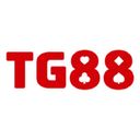 ytg88com