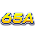 65asacom