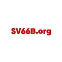 sv66borg