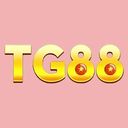 tg88snet