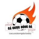 cacuocbongdat