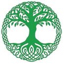 Steller Tree Services Texas