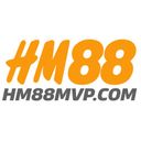 hm88mvp04