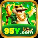95ynetbr