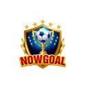 nowgoal29dev