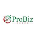 probizsetup