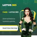 dmlotus
