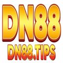 DN88 DN88