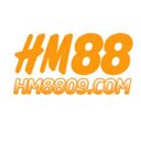 hm8809com2