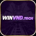 winvndtech