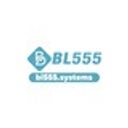bl555systems