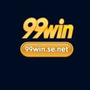 nc99winsenet