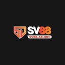 sv88aeorg