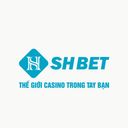 shbethicom1