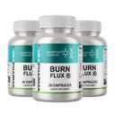Burnflux