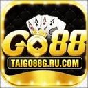 taigo88gru