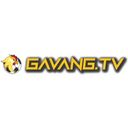 gavangtvwork