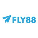 fly88stips2
